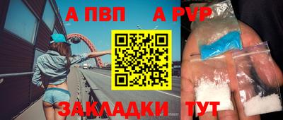 ешки Гай