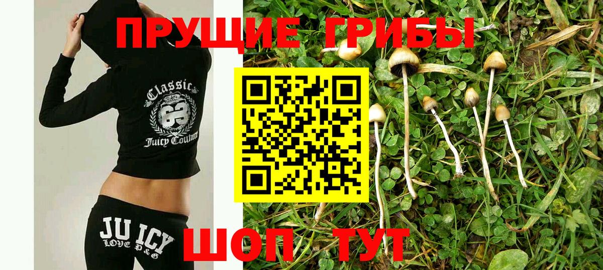 Псилоцибиновые грибы ЛСД  цена наркотик  Каменск-Шахтинский  Галлюциногенные грибы Psilocybe 